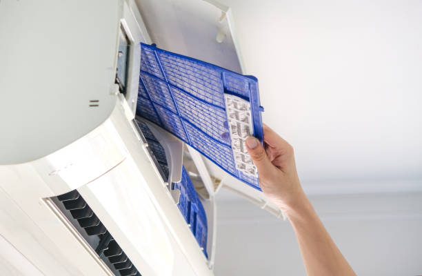 Best Affordable HVAC Duct Cleaning  in Freer, TX